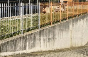 Cassazione, ordinanza, 16 settembre 2024, n. 24842, sez. II civile